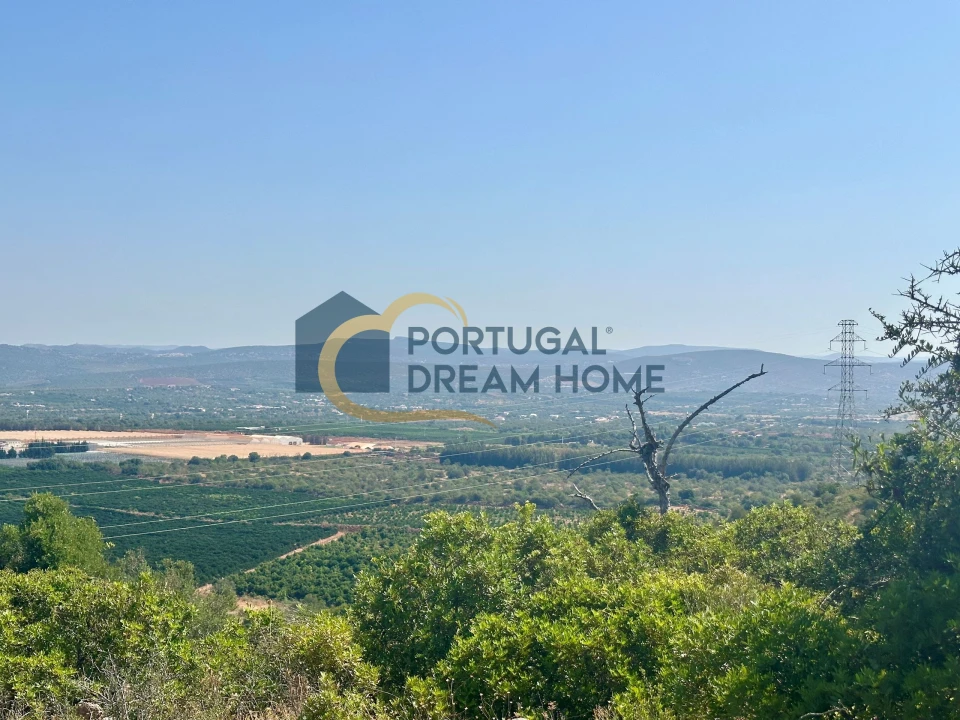 Terreno Agricola ou Rústico para Venda em Silves Foto 4