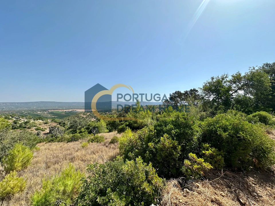 Terreno Agricola ou Rústico para Venda em Silves Foto 5