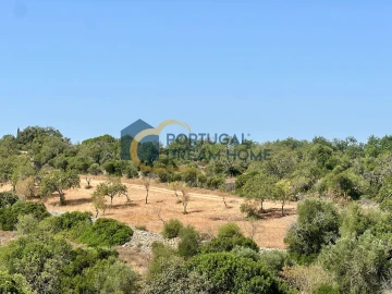 Terreno Agricola ou Rústico para Venda em Silves