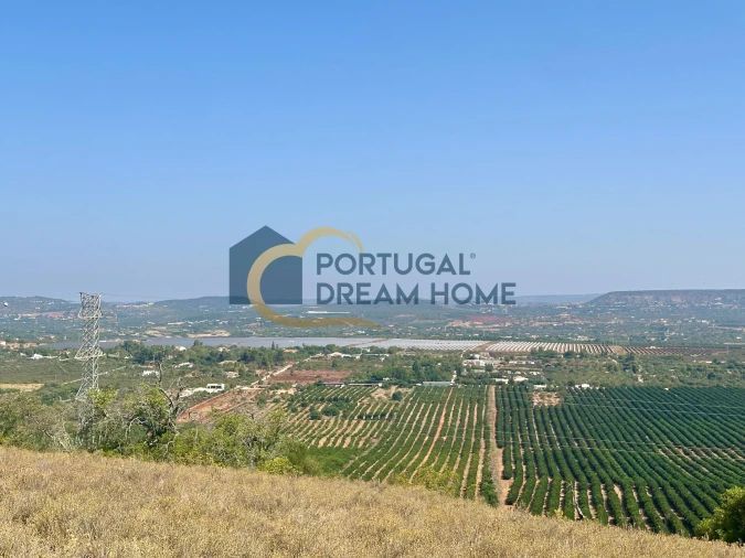 Terreno Agricola ou Rústico para Venda em Silves Foto 9