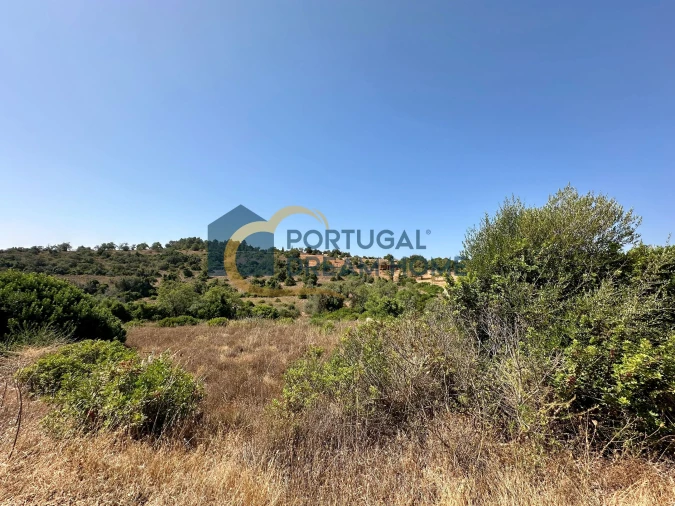 Terreno Agricola ou Rústico para Venda em Silves Foto 8