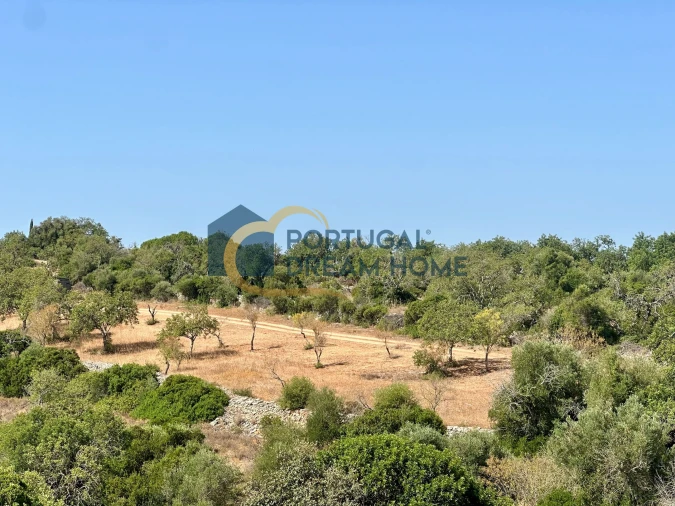 Terreno Agricola ou Rústico para Venda em Silves Foto 13