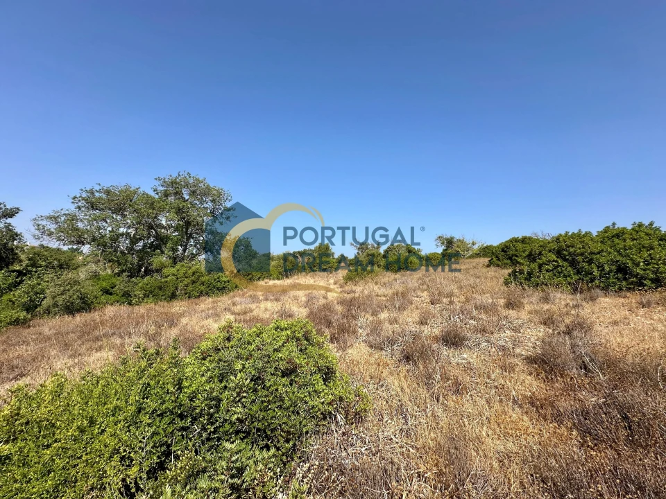 Terreno Agricola ou Rústico para Venda em Silves Foto 24