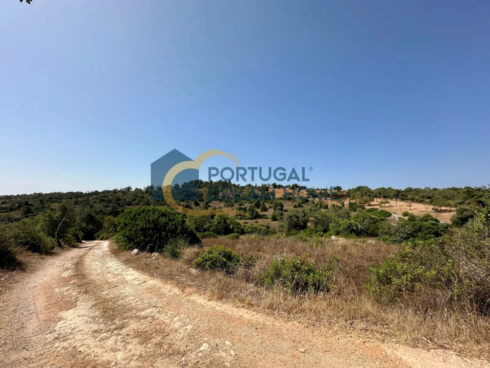 Terreno Agricola ou Rústico para Venda em Silves Foto 12
