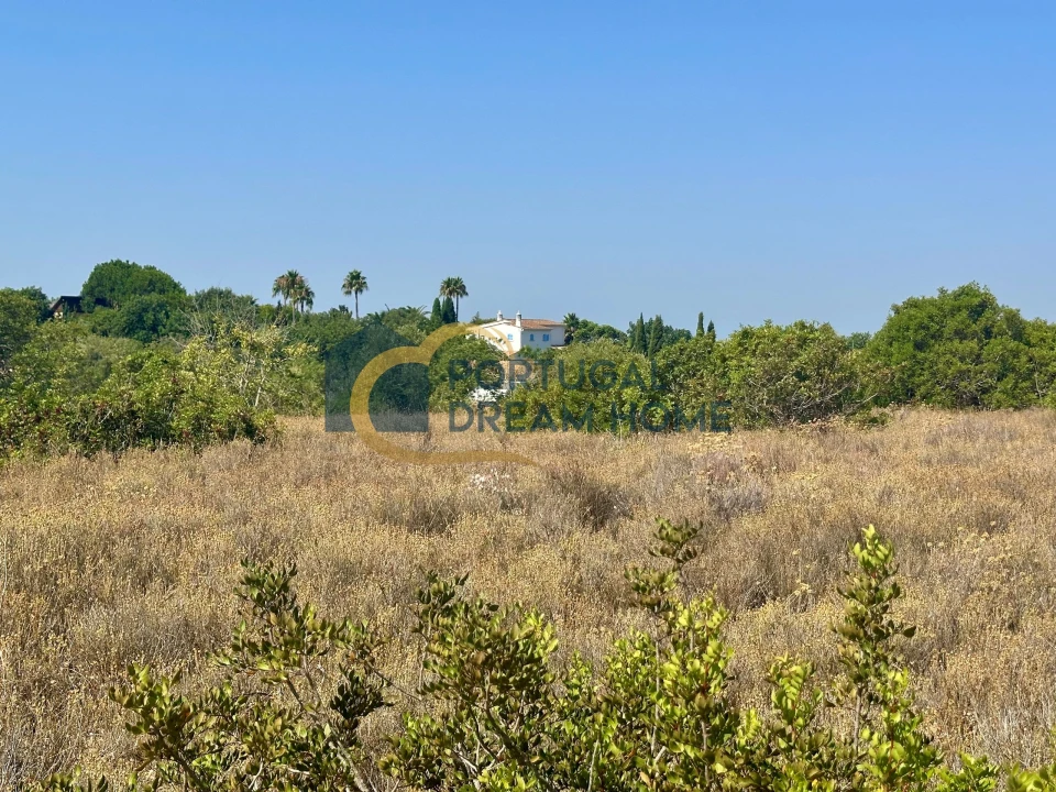 Terreno Agricola ou Rústico para Venda em Silves Foto 19