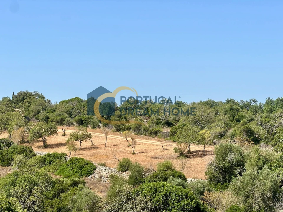 Terreno Agricola ou Rústico para Venda em Silves Foto 13