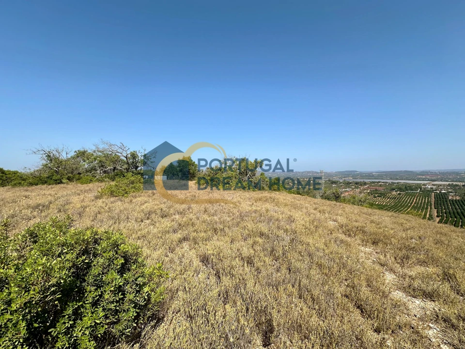 Terreno Agricola ou Rústico para Venda em Silves Foto 21