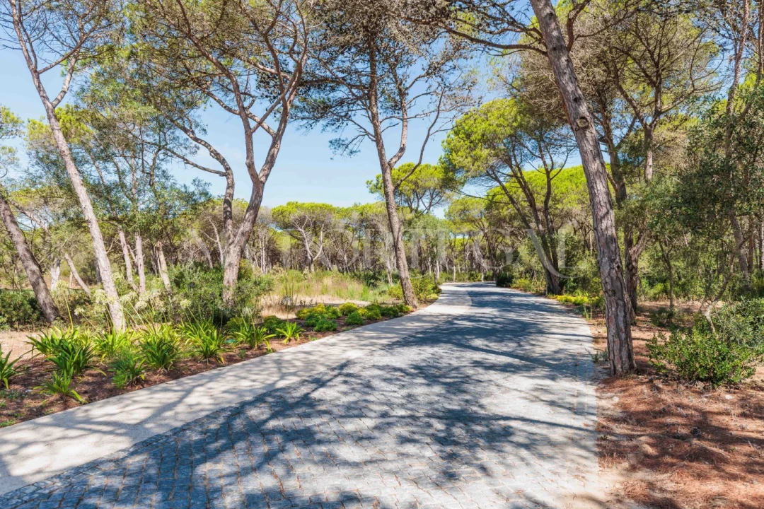 Moradia T3 para Arrendamento em Cascais e Estoril Foto 41