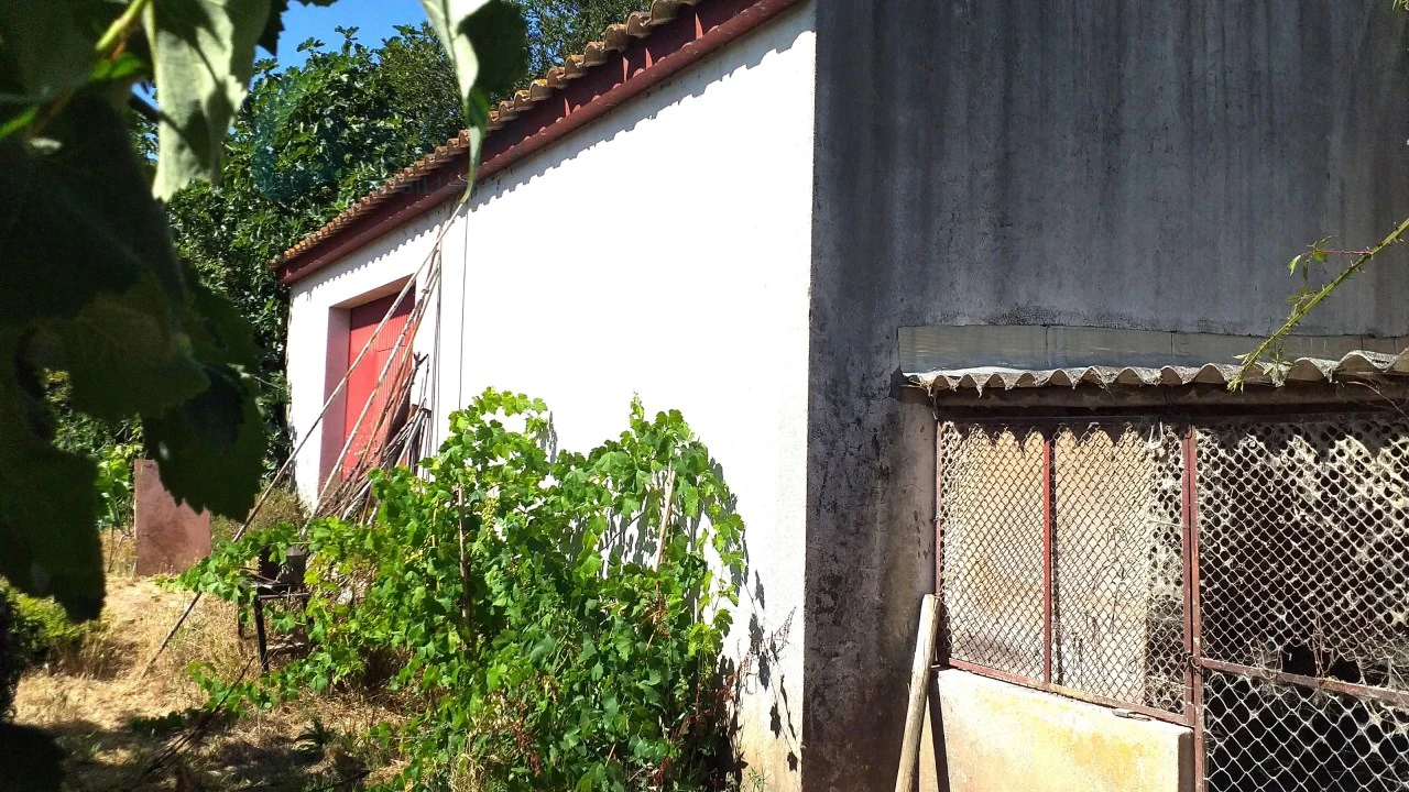 Moradia T4 para Venda em Bombarral e Vale Covo Foto 37