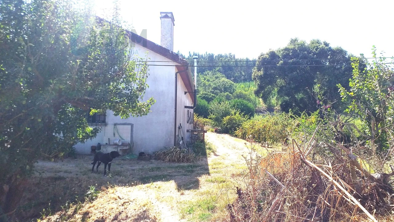 Moradia T4 para Venda em Bombarral e Vale Covo Foto 36