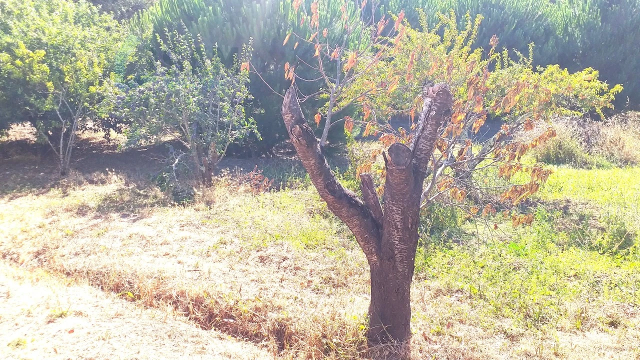 Moradia T4 para Venda em Bombarral e Vale Covo Foto 42