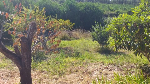 Moradia T4 para Venda em Bombarral e Vale Covo