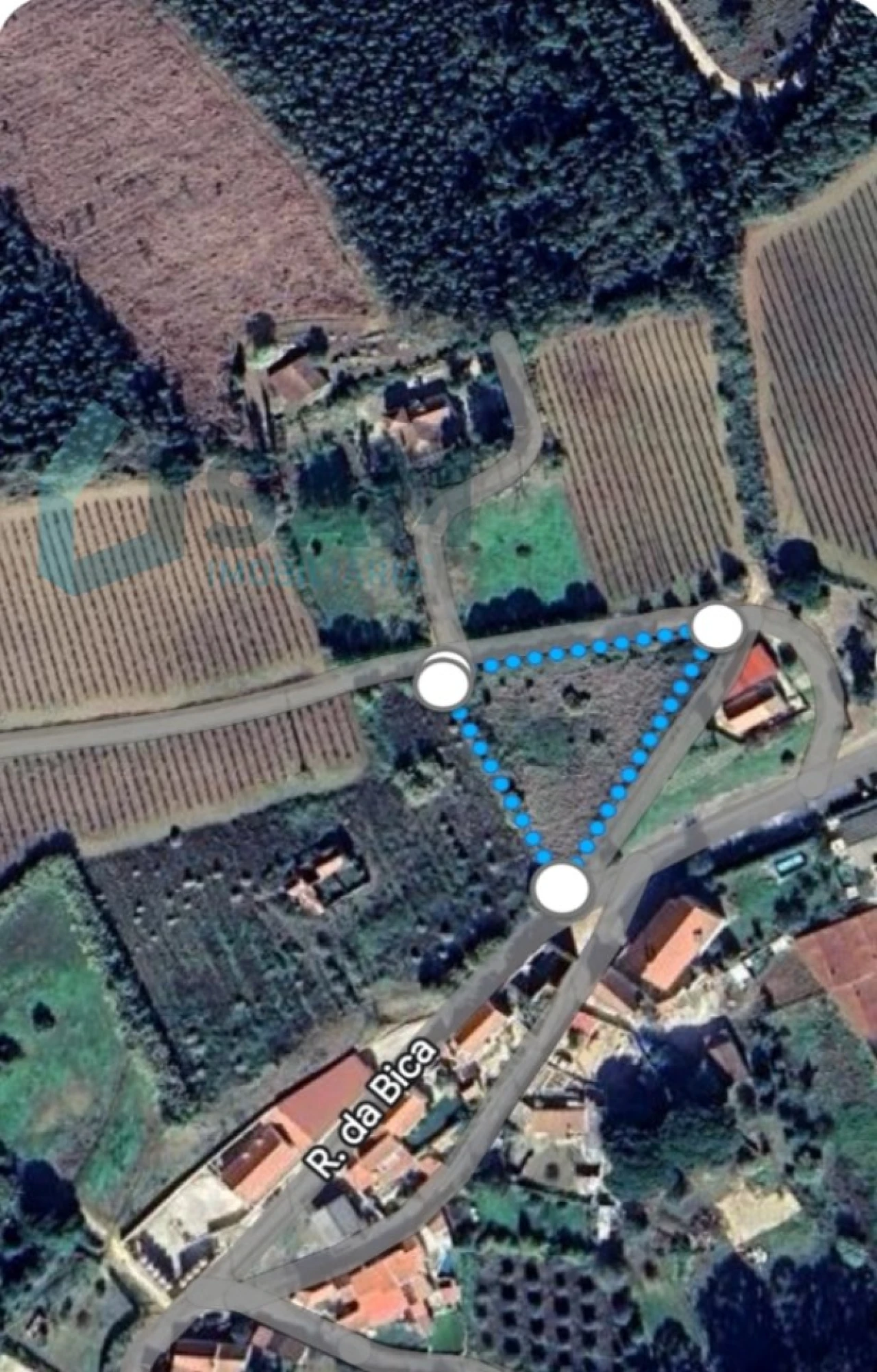 Terreno para Venda em Carvoeira e Carmões Foto 5