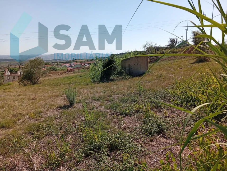 Terreno para Venda em Carvoeira e Carmões Foto 4