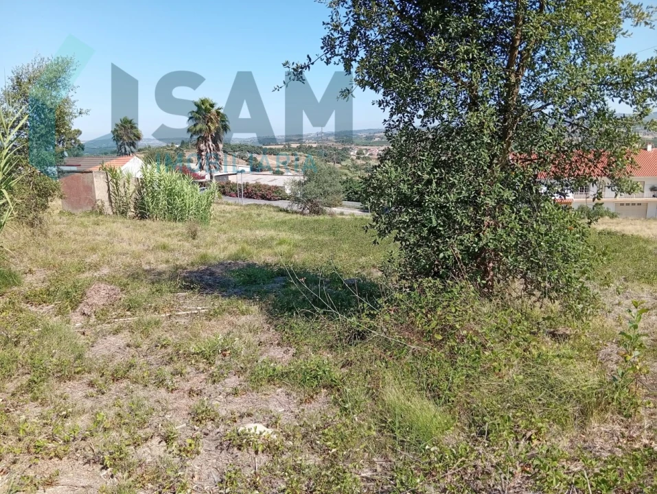 Terreno para Venda em Carvoeira e Carmões Foto 6