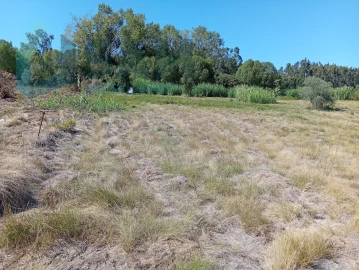 Terreno para Venda em Carvoeira e Carmões