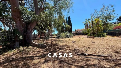 Apartamento T3 para Venda em Funchal (São Pedro)