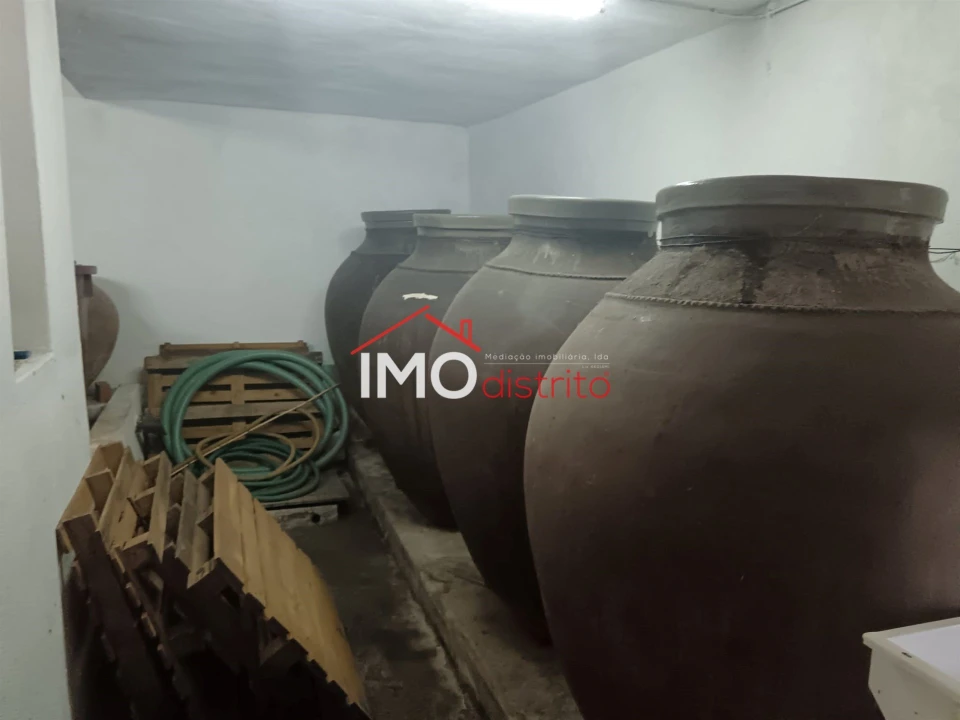 Quinta T2 para Venda em Ribeira de Nisa e Carreiras Foto 18