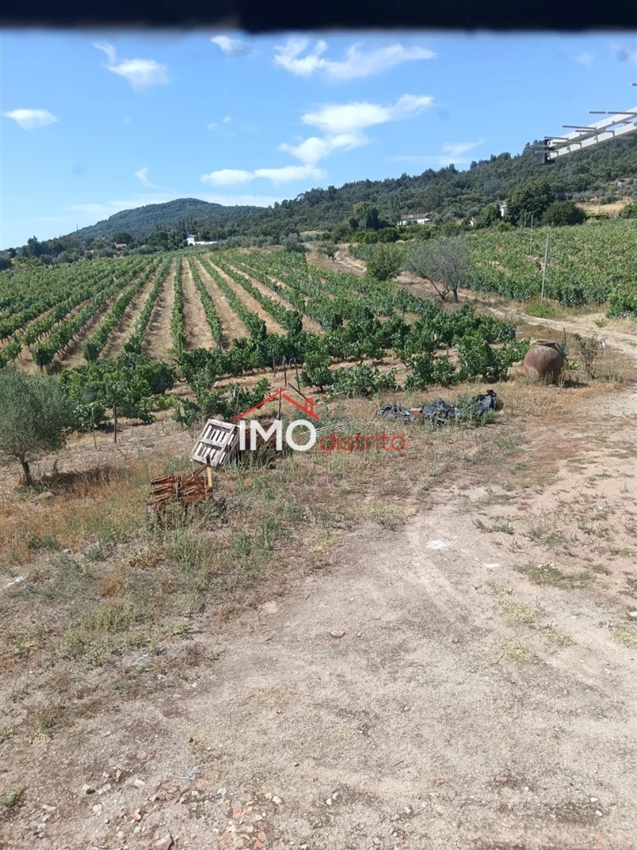 Quinta T2 para Venda em Ribeira de Nisa e Carreiras Foto 16