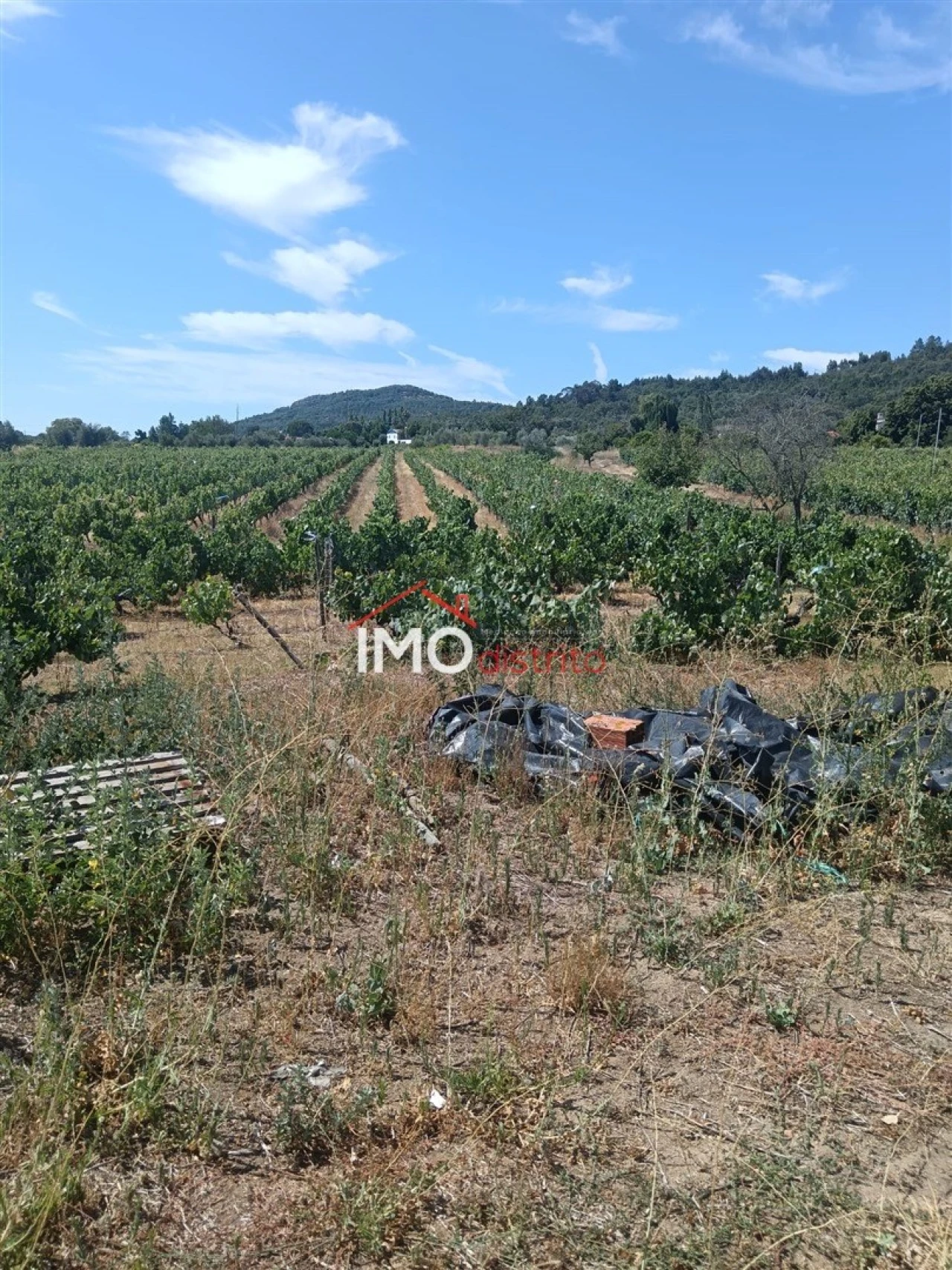 Quinta T2 para Venda em Ribeira de Nisa e Carreiras Foto 1