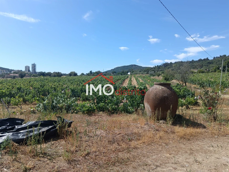 Quinta T2 para Venda em Ribeira de Nisa e Carreiras Foto 25