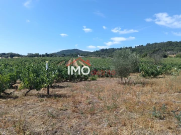 Quinta T2 para Venda em Ribeira de Nisa e Carreiras