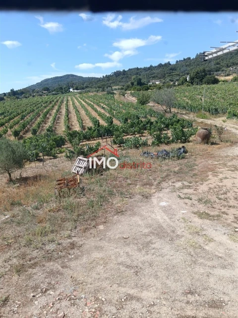 Quinta T2 para Venda em Ribeira de Nisa e Carreiras