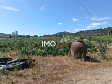 Quinta T2 para Venda em Ribeira de Nisa e Carreiras