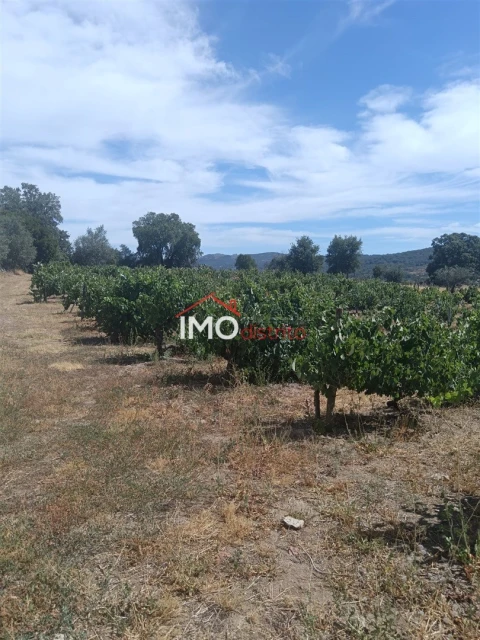 Quinta T2 para Venda em Ribeira de Nisa e Carreiras