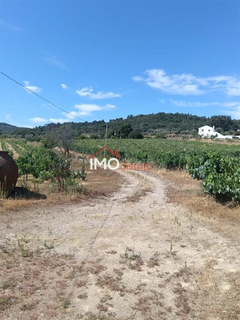 Quinta T2 para Venda em Ribeira de Nisa e Carreiras