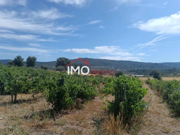 Quinta T2 para Venda em Ribeira de Nisa e Carreiras