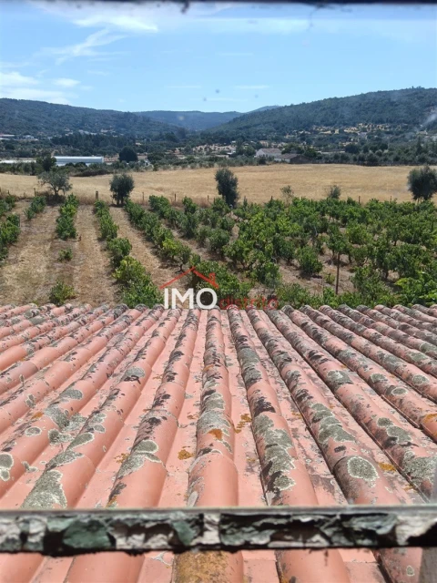 Quinta T2 para Venda em Ribeira de Nisa e Carreiras