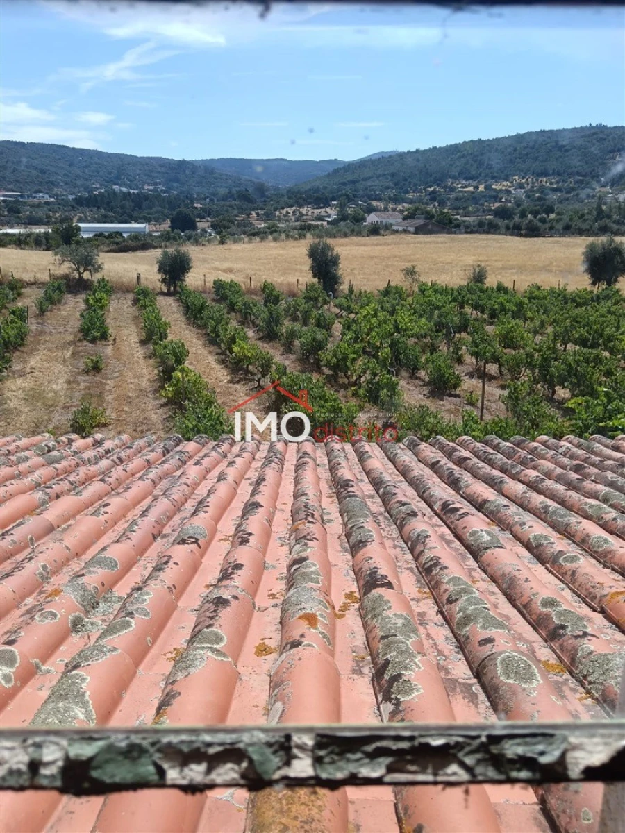 Quinta T2 para Venda em Ribeira de Nisa e Carreiras Foto 17