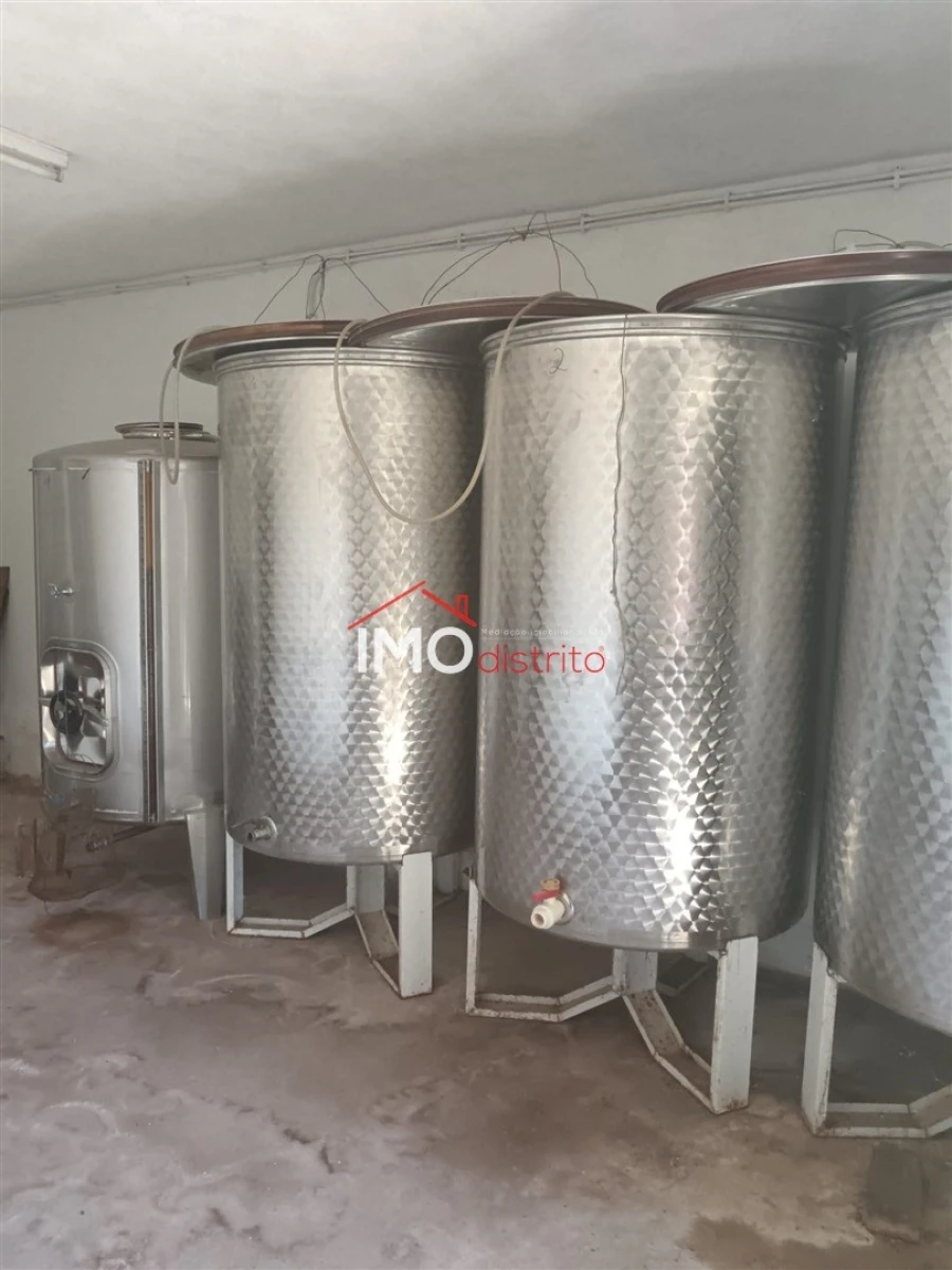 Quinta T2 para Venda em Ribeira de Nisa e Carreiras Foto 12