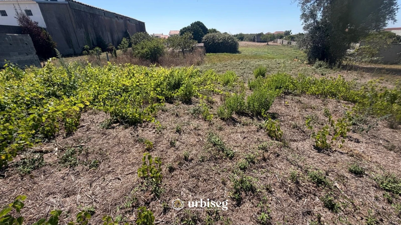 Terreno para Venda em Lavos Foto 2