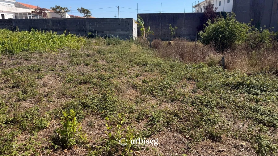 Terreno para Venda em Lavos Foto 5