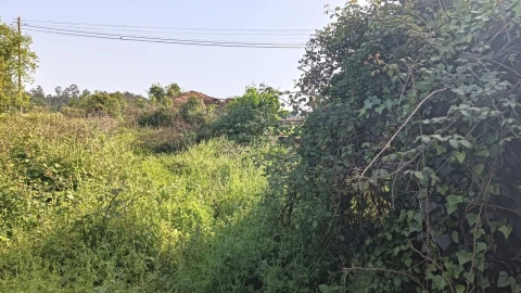 Moradia T4 para Venda em Aguada de Cima