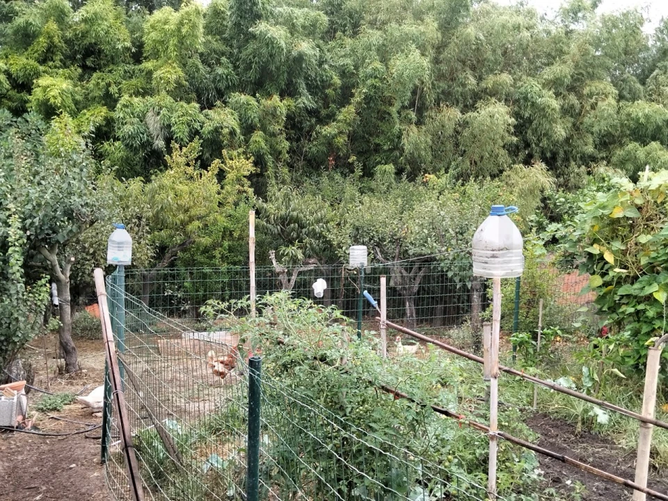 Moradia T3 para Venda em Bustos, Troviscal e Mamarrosa Foto 53