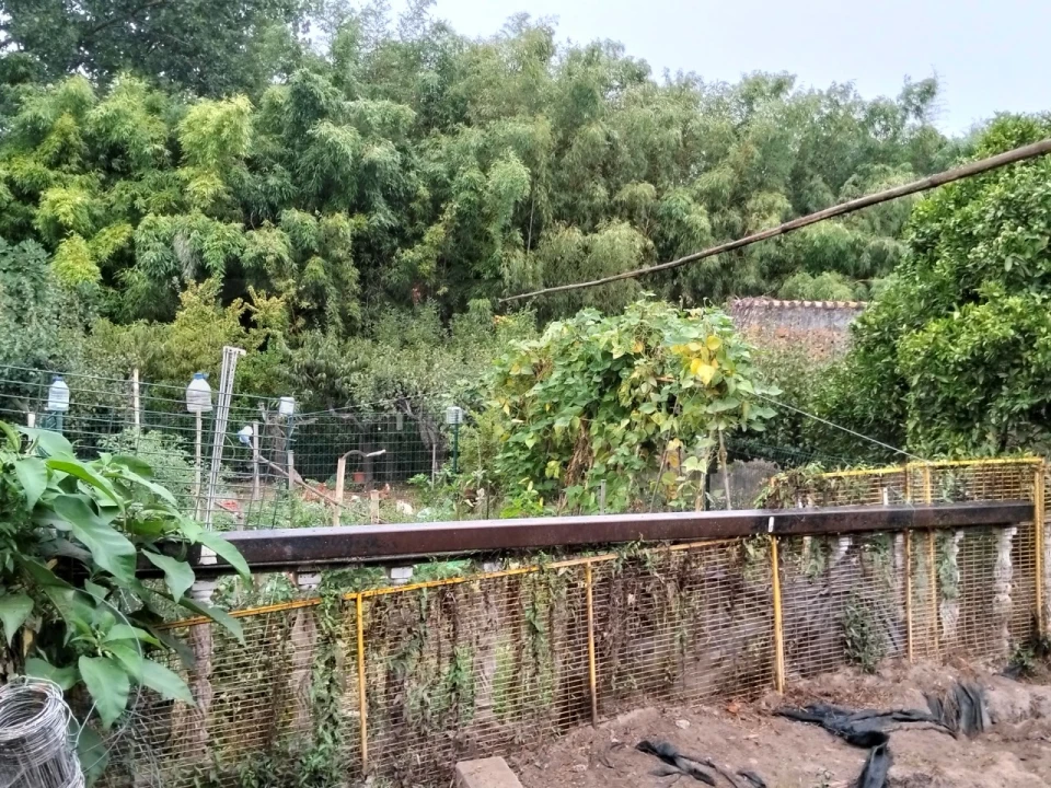 Moradia T3 para Venda em Bustos, Troviscal e Mamarrosa Foto 54