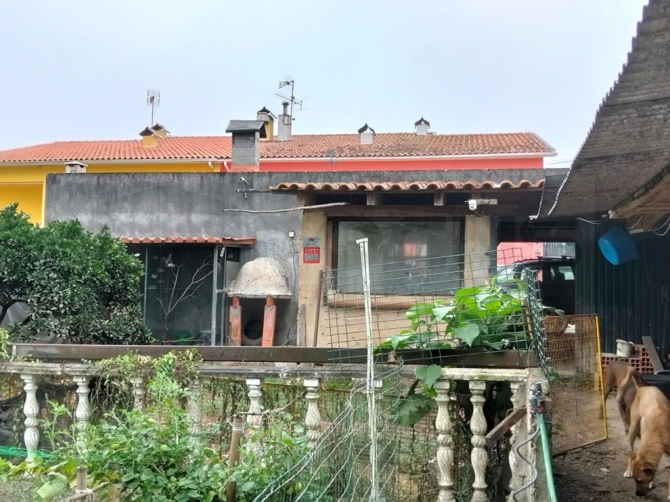 Moradia T3 para Venda em Bustos, Troviscal e Mamarrosa Foto 56