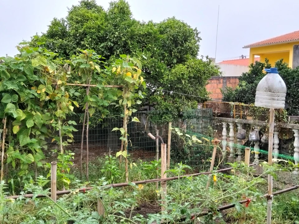 Moradia T3 para Venda em Bustos, Troviscal e Mamarrosa Foto 57