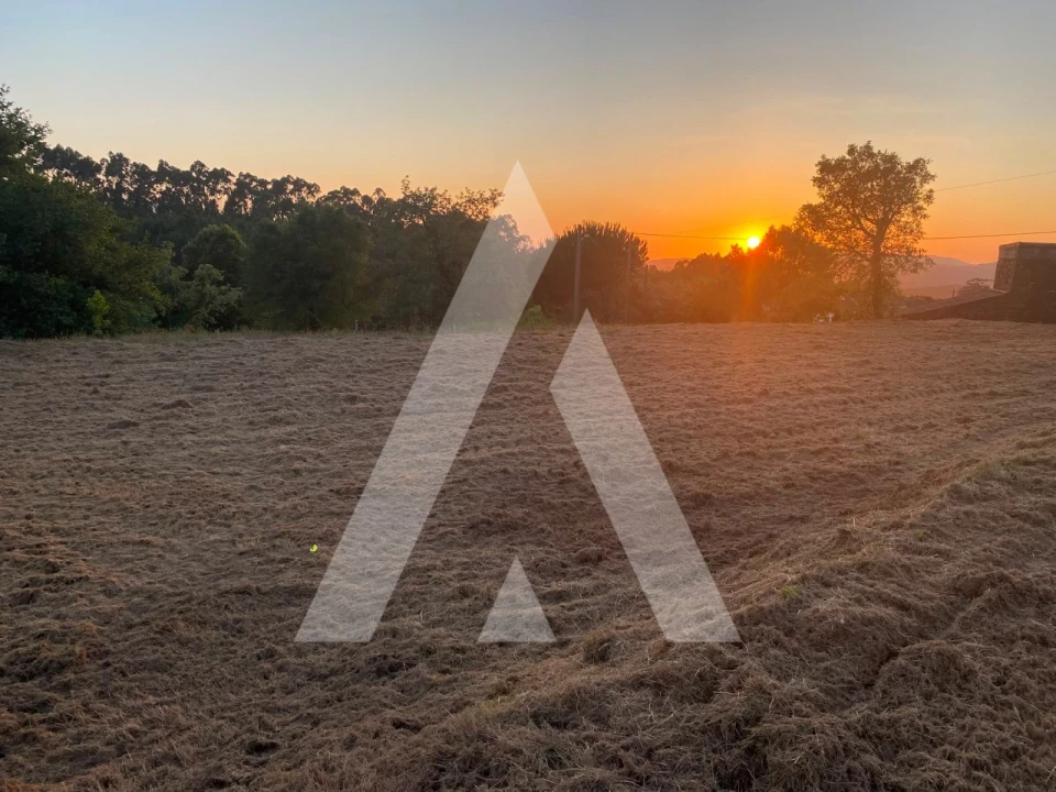 Terreno para Venda em Montaria Foto 3