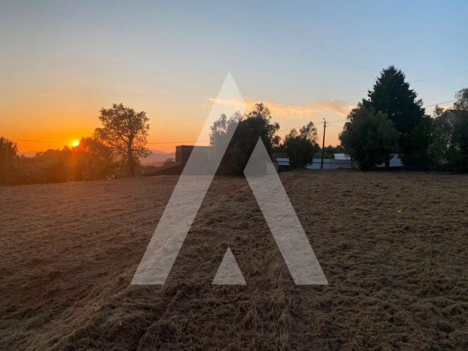 Terreno para Venda em Montaria Foto 1