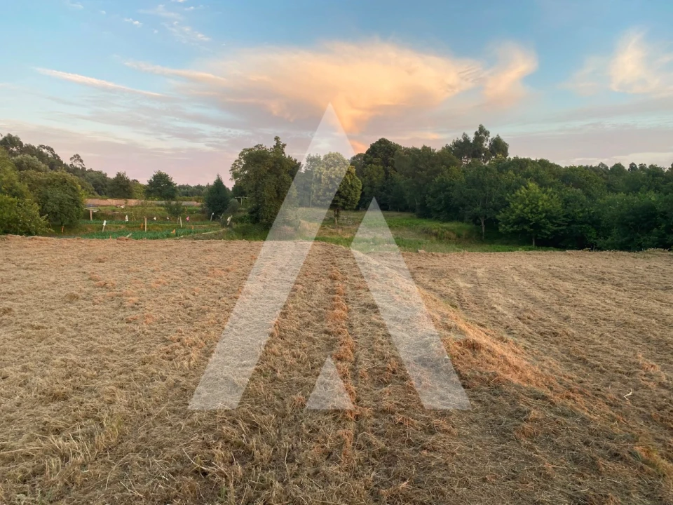 Terreno para Venda em Montaria Foto 2