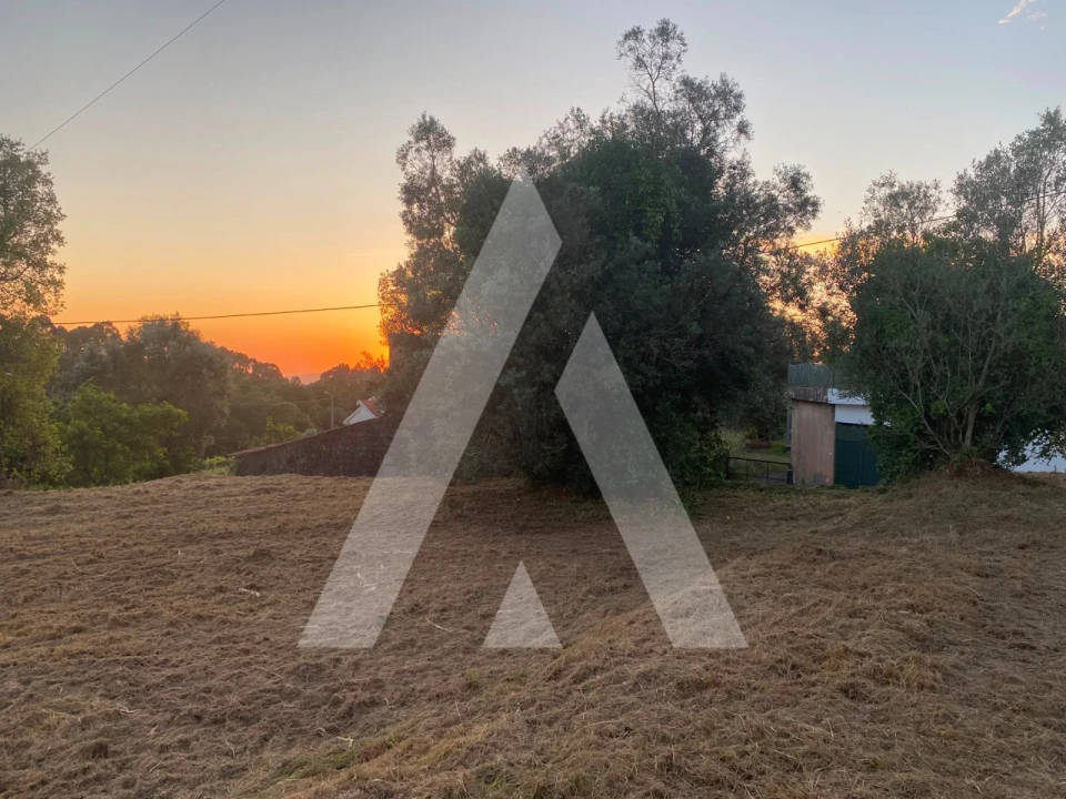 Terreno para Venda em Montaria Foto 4