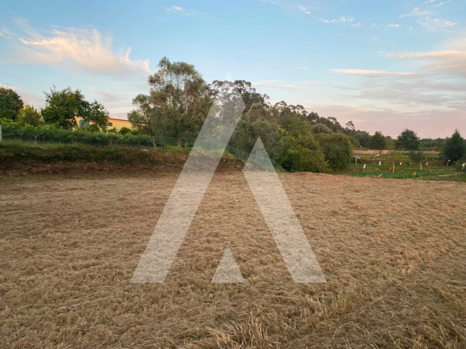 Terreno para Venda em Montaria Foto 6