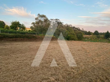 Terreno para Venda em Montaria