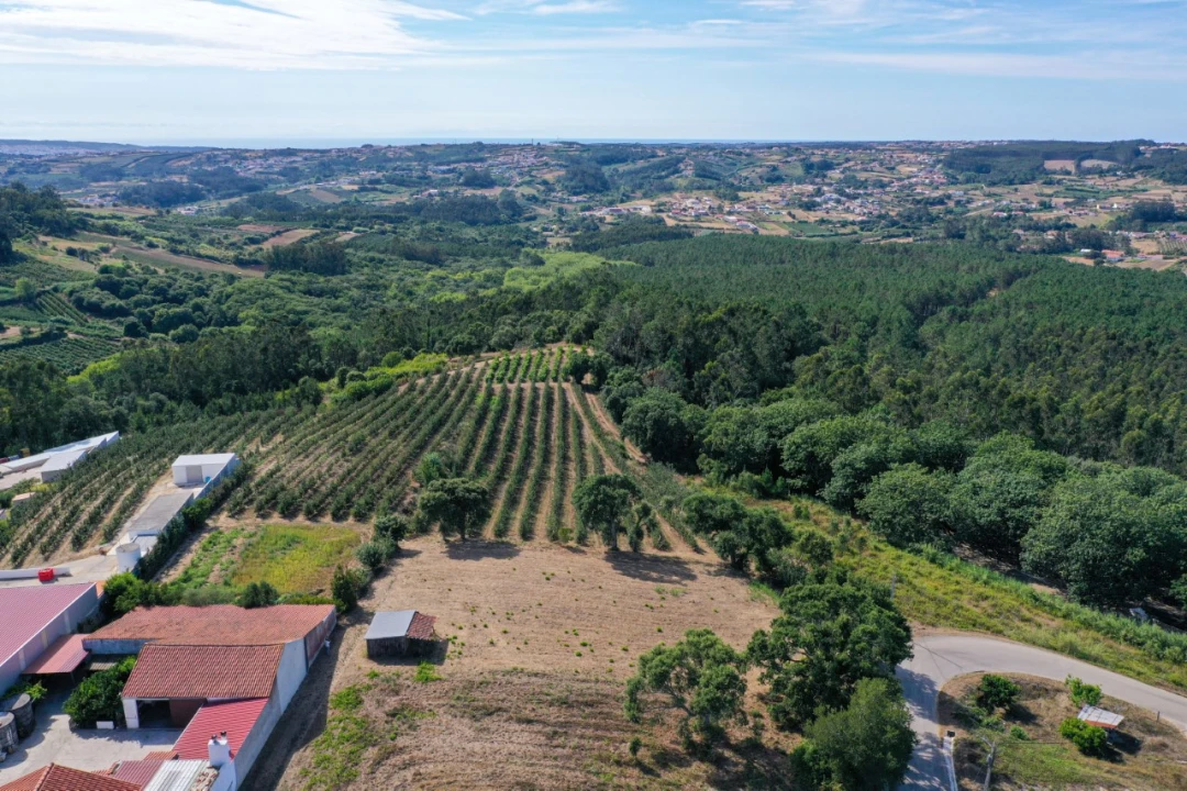 Terreno para Venda em Vimeiro Foto 5