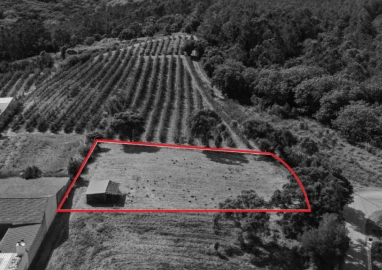 Terreno para Venda em Vimeiro
