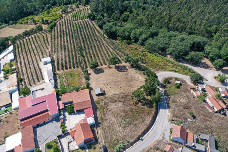 Terreno para Venda em Vimeiro Foto 4